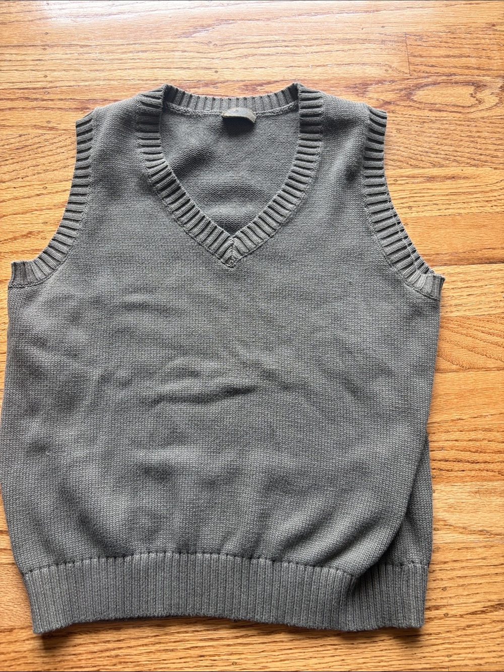 John Galt/Brandy Melville Sweater Vest